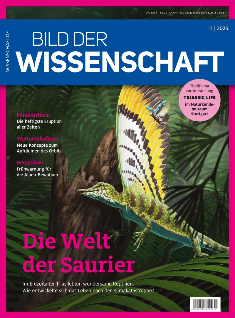 bild der wissenschaft