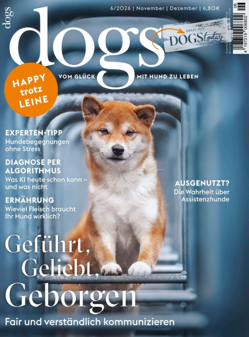 dogs